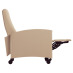 Recliner, shown in Reclined Position