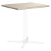 Table Top, Rectangle, with Double Bevel Edge